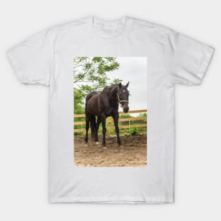 the mighty Samurai T-Shirt